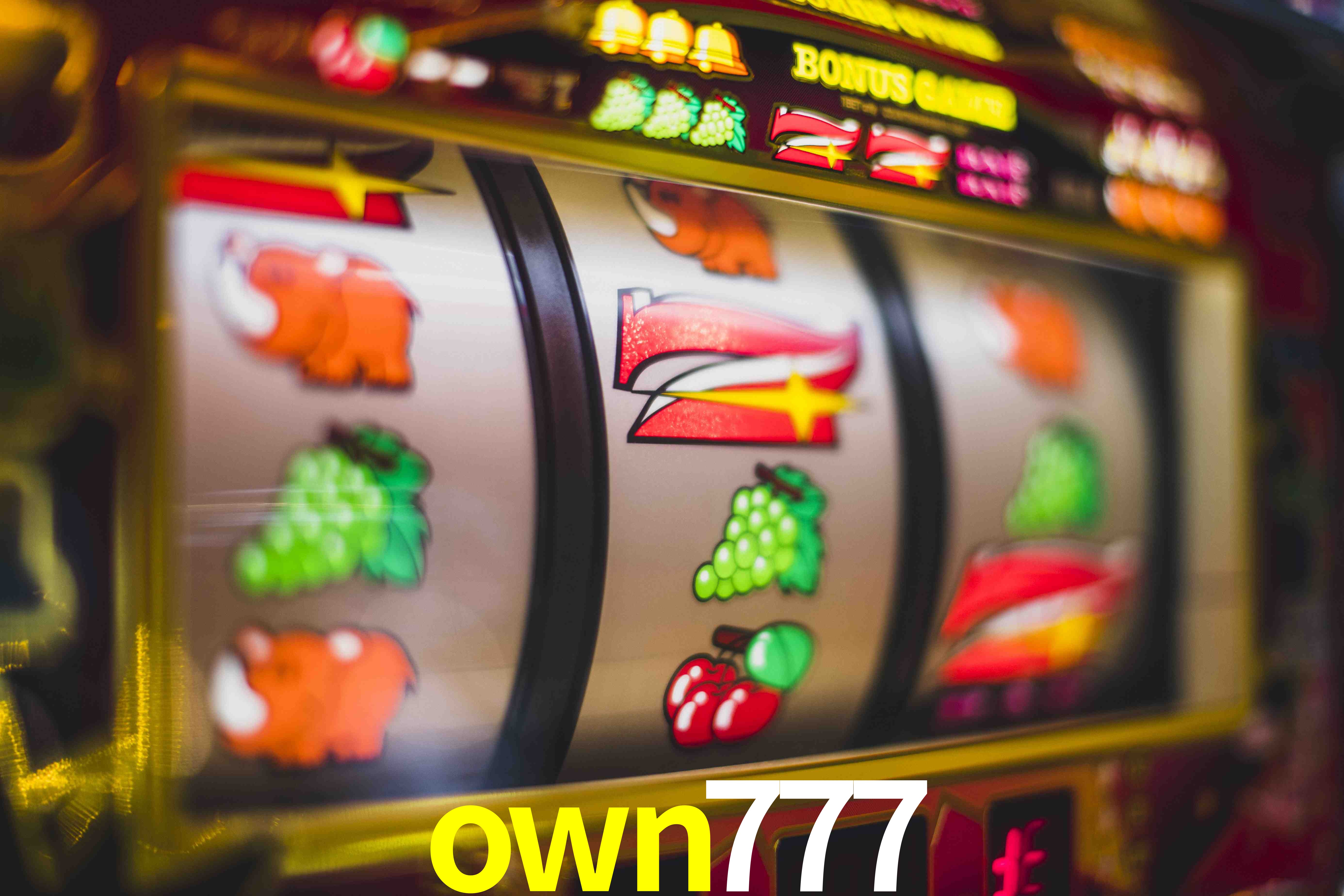 Basketball Betting own777